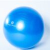 Exercise_Ball-Hugger_Mugger-blue