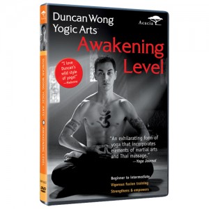 Awakening Level, Duncan Wong Yogic Arts